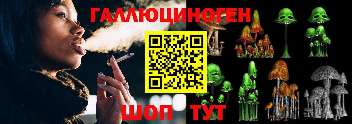 Псилоцибиновые грибы Cubensis Киреевск